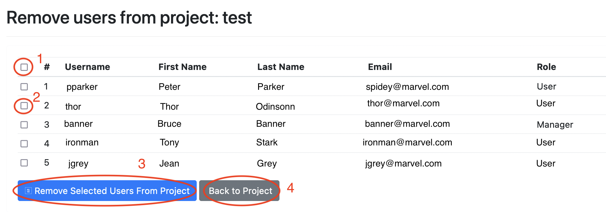 Screenshot of page to remove users to project