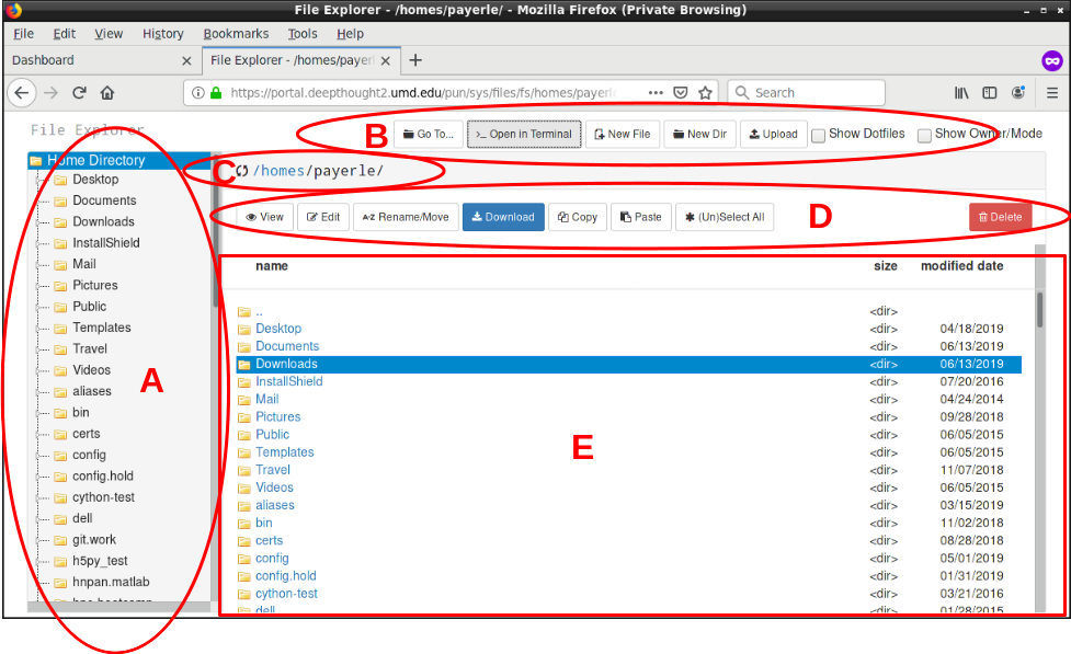 Various sections of the File Manager screen